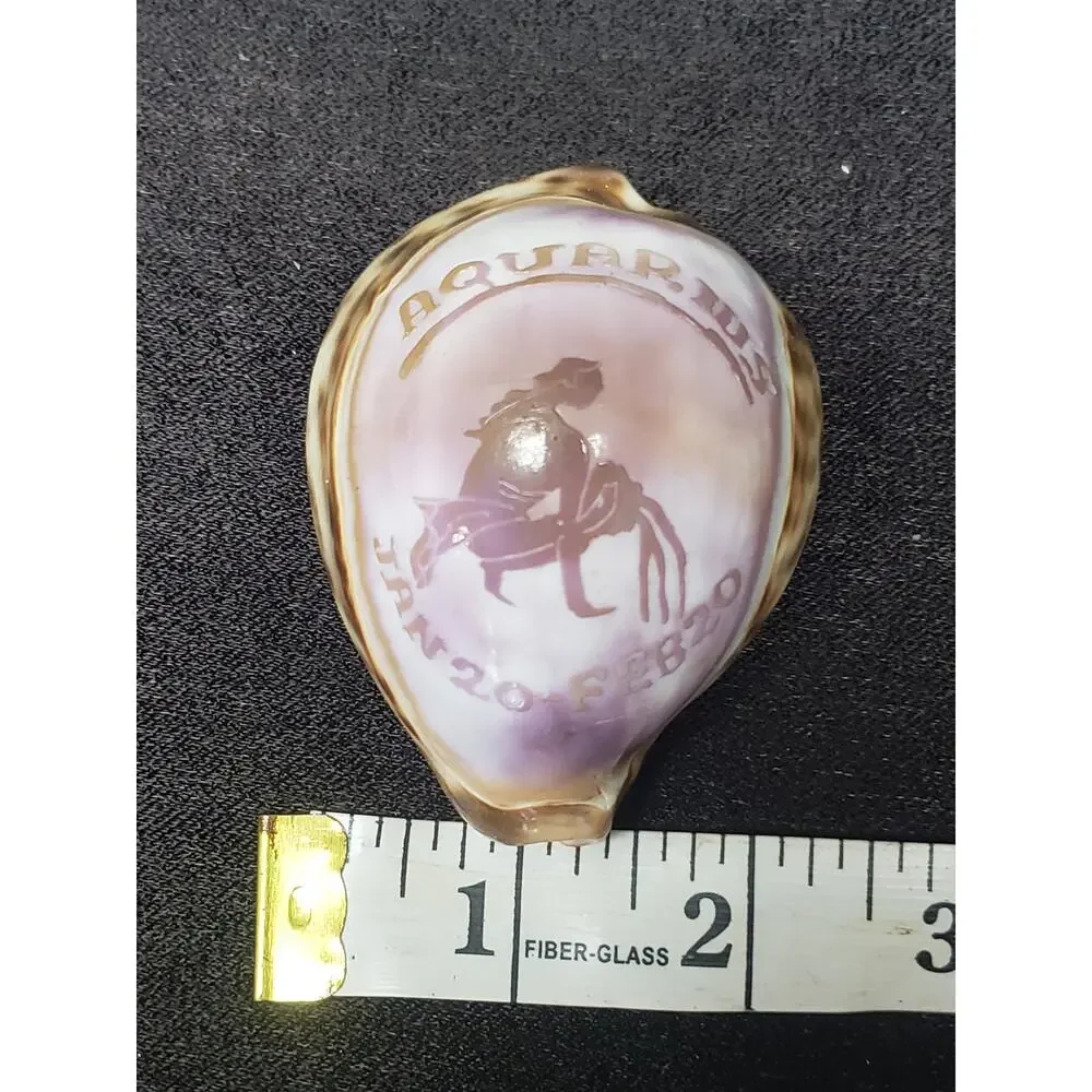 Aquarius Astrology January 20 -  February 20 Tiger Cowrie Seashell Horoscope